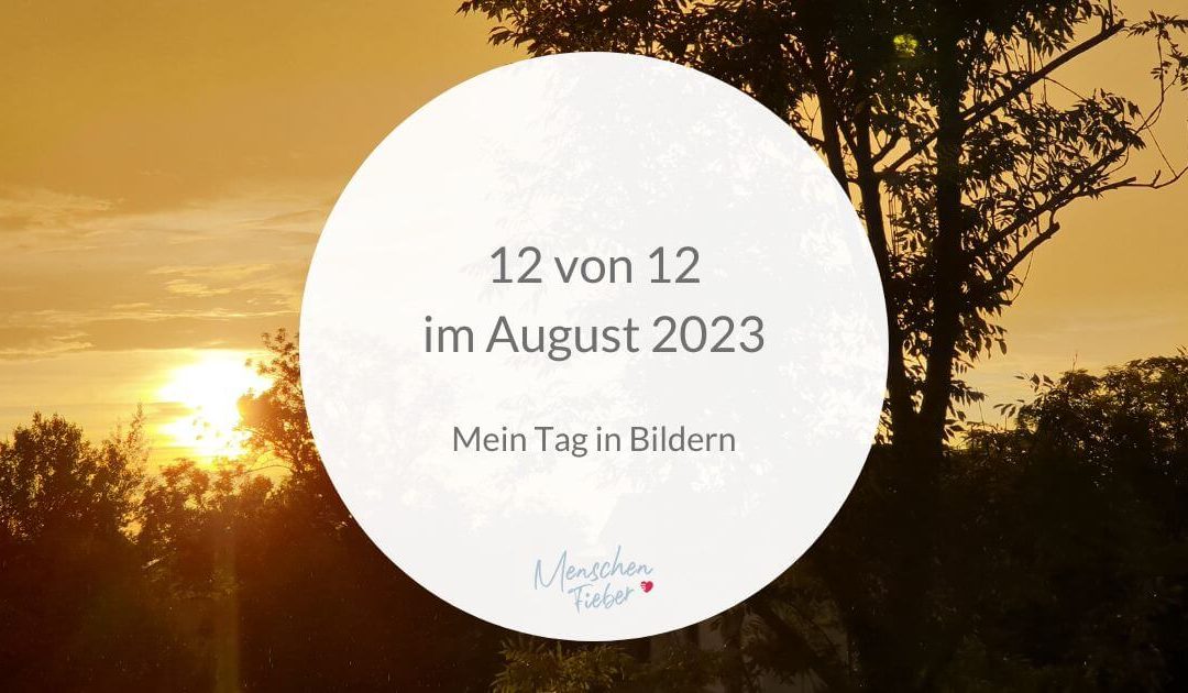 12 von 12 im August 2023