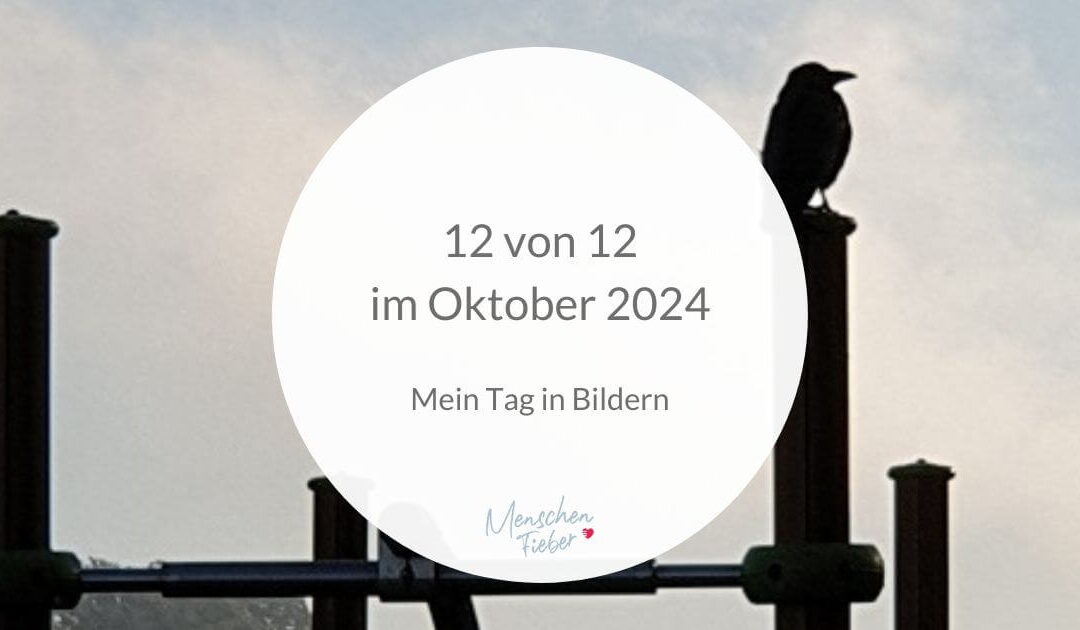 12 von 12 im Oktober 2024